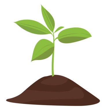 Yeşil bitki, illüstrasyon, beyaz arkaplanda vektör