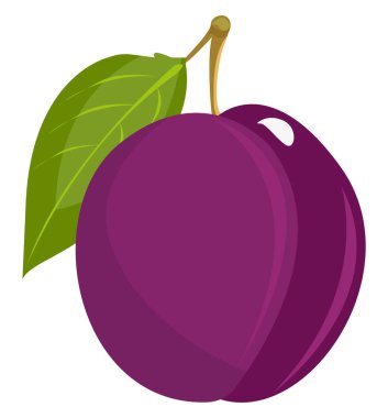 Mor erik, illüstrasyon, beyaz arkaplanda vektör.