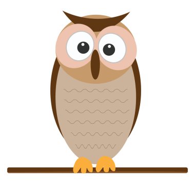 Kahverengi baykuş, illüstrasyon, beyaz arkaplanda vektör.