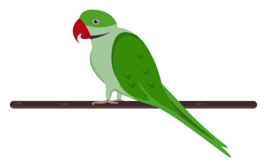 Yeşil papağan, illüstrasyon, beyaz arkaplan vektörü.
