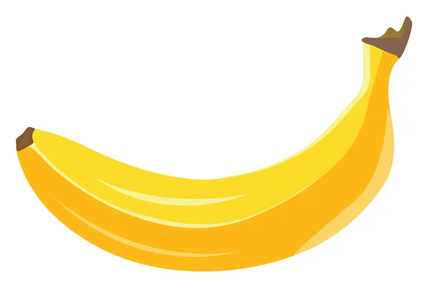 Żółty Banan Ilustracja Wektor Białym Tle — Wektor stockowy