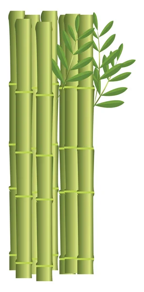 Bastoncini Bambù Illustrazione Vettore Sfondo Bianco — Vettoriale Stock