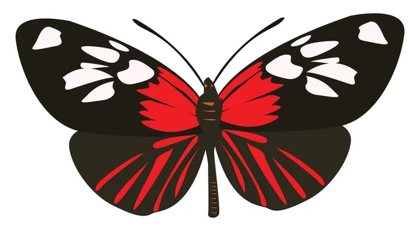 Mariposa Negra Ilustración Vector Sobre Fondo Blanco — Archivo Imágenes Vectoriales