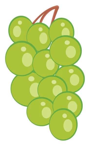 Green Grapes Illustration Vector White Background — Stock Vector