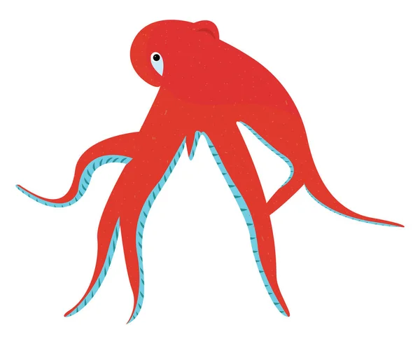 Roter Oktopus Illustration Vektor Auf Weißem Hintergrund — Stockvektor