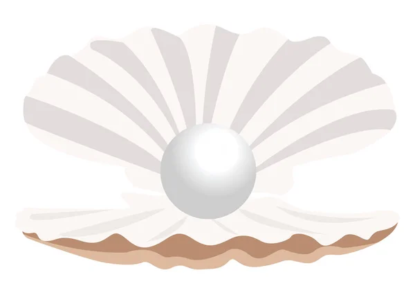 Seashell Pärla Illustration Vektor Vit Bakgrund — Stock vektor
