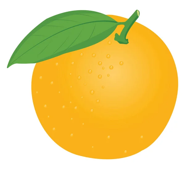 Naranja Dulce Ilustración Vector Sobre Fondo Blanco — Vector de stock