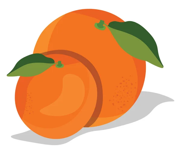 2つのオレンジ イラスト 白い背景のベクトル — ストックベクタ