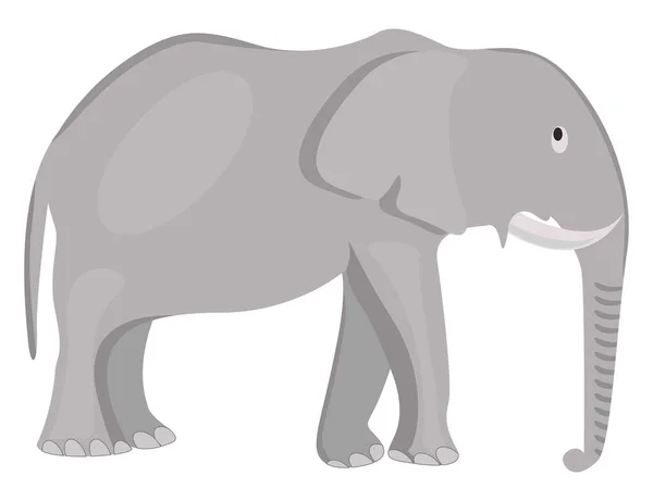 Elefante Gris Ilustración Vector Sobre Fondo Blanco — Vector de stock