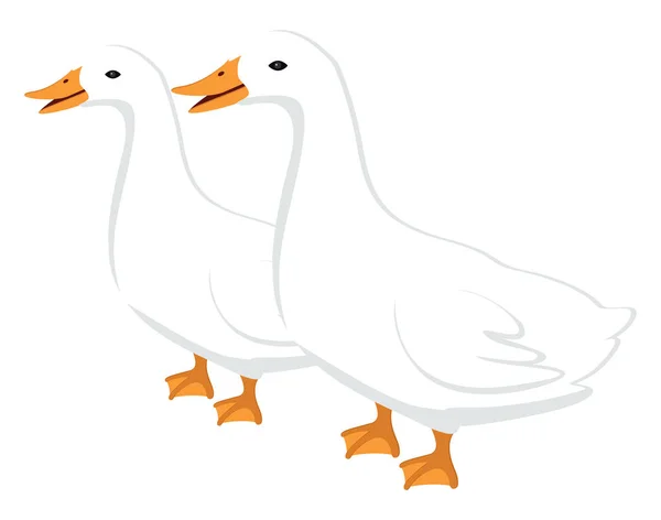 Two Ducks Illustration Vector White Background — Stock Vector