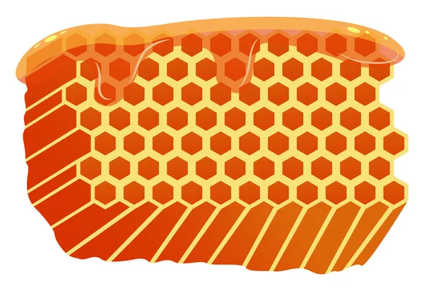 Bienenhonig Illustration Vektor Auf Weißem Hintergrund — Stockvektor