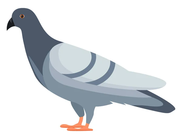 Mavi Güvercin Illüstrasyon Beyaz Arkaplanda Vektör — Stok Vektör