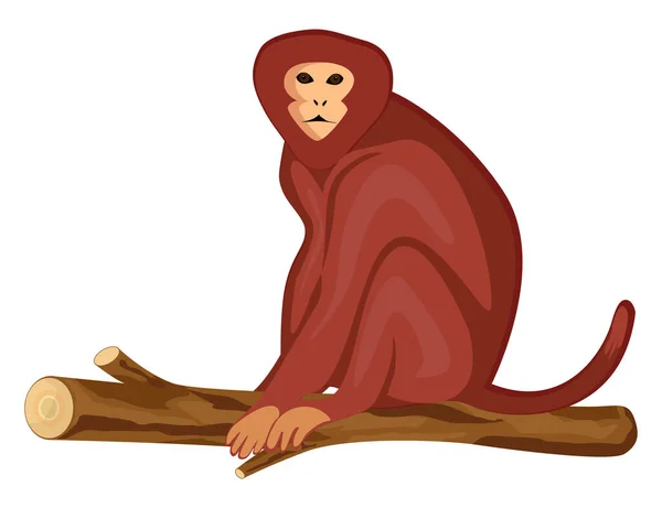 Monkey Gren Illustration Vektor Vit Bakgrund — Stock vektor