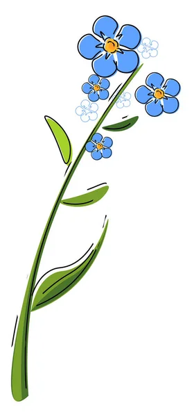 A Plant Of Lot Of Blue Flowers Known As Forget Me Not Flower Vector Color Drawing Or Illustration Blossom Growth Stock Photo