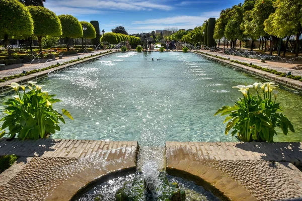 Bacia Água Nos Jardins Alcazar Córdoba — Fotografia de Stock