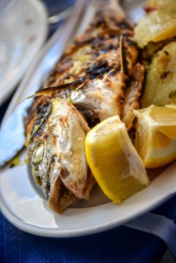 Sea bream fish grilled over a wood fire in Malaga in Spain