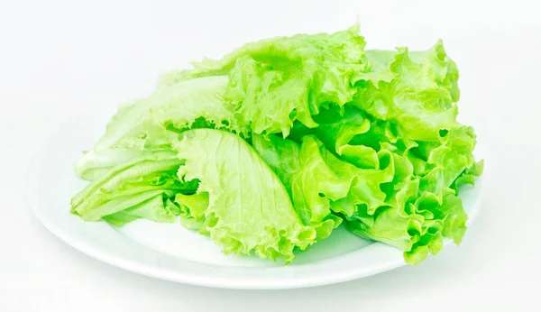 Fresh Lettuce White Plate White Background — Stock Photo, Image