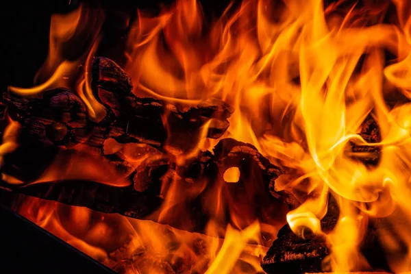 Fire. Wood burning in the fire. — Stock Photo, Image