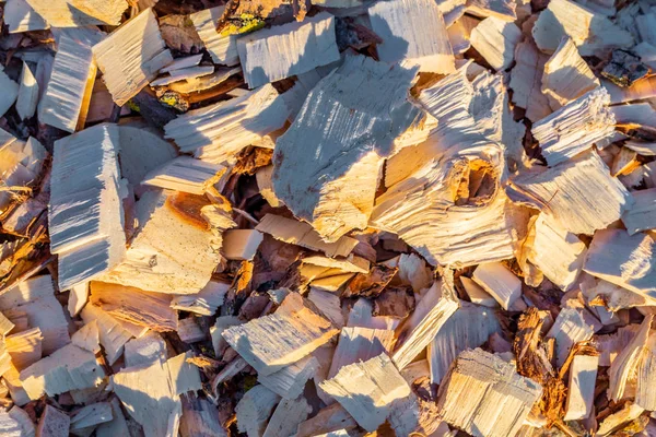 Cippato. Legno riciclato. Lavorazione ecocompatibile . — Foto Stock