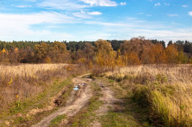 Off-Road. Sonbahar alanında izlemek.