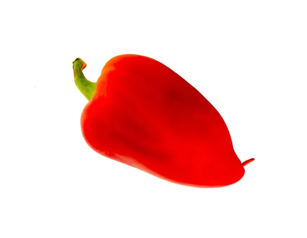 Pimiento rojo — Foto de Stock