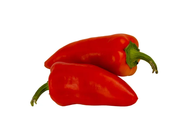 Dos pimientos rojos — Foto de Stock