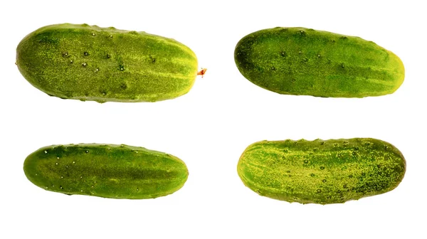 Vier komkommers op een witte achtergrond — Stockfoto