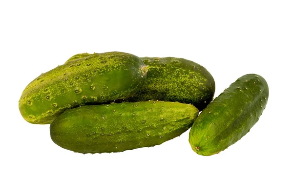 Samenstelling van komkommers witte achtergrond — Stockfoto