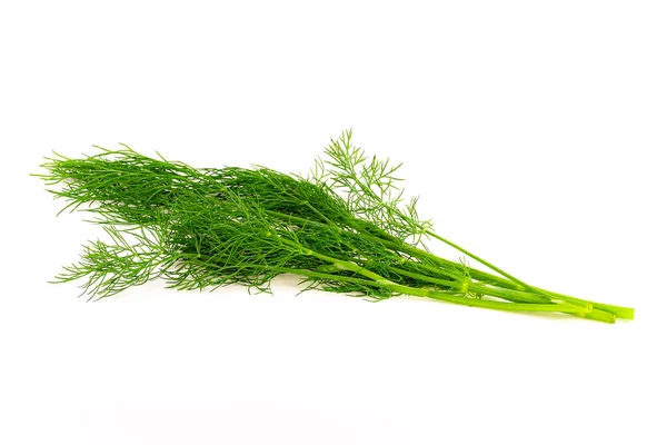 Several sprigs of dill large — Stock Photo, Image