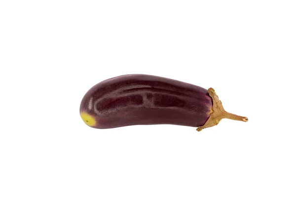 通常的紫色茄子 — 图库照片