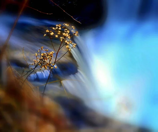 Slow Motion Waterfalls Forest — Stock Photo, Image