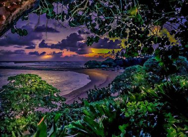 bulutlu bir gecede vegation kaplı plaj