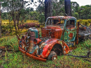 Terk edilmiş eski bir kamyon ormanda almak