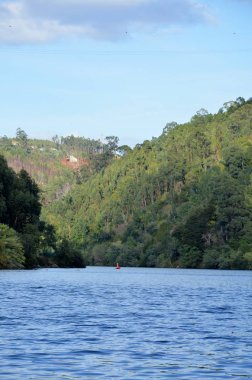 Nehir Douro etrafında yeşil dağlar