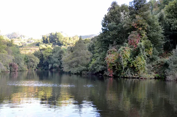 Πράσινες Όχθες Γύρω Από Τον Ποταμό Douro — Φωτογραφία Αρχείου