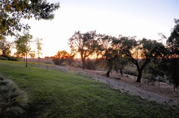 Typical Alentejo Landscape Sunset — Stock Photo, Image