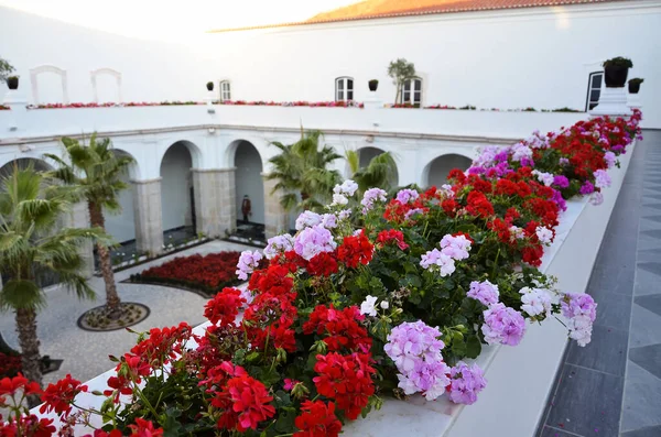 Hotel Histórico Con Macizos Flores Balcón —  Fotos de Stock
