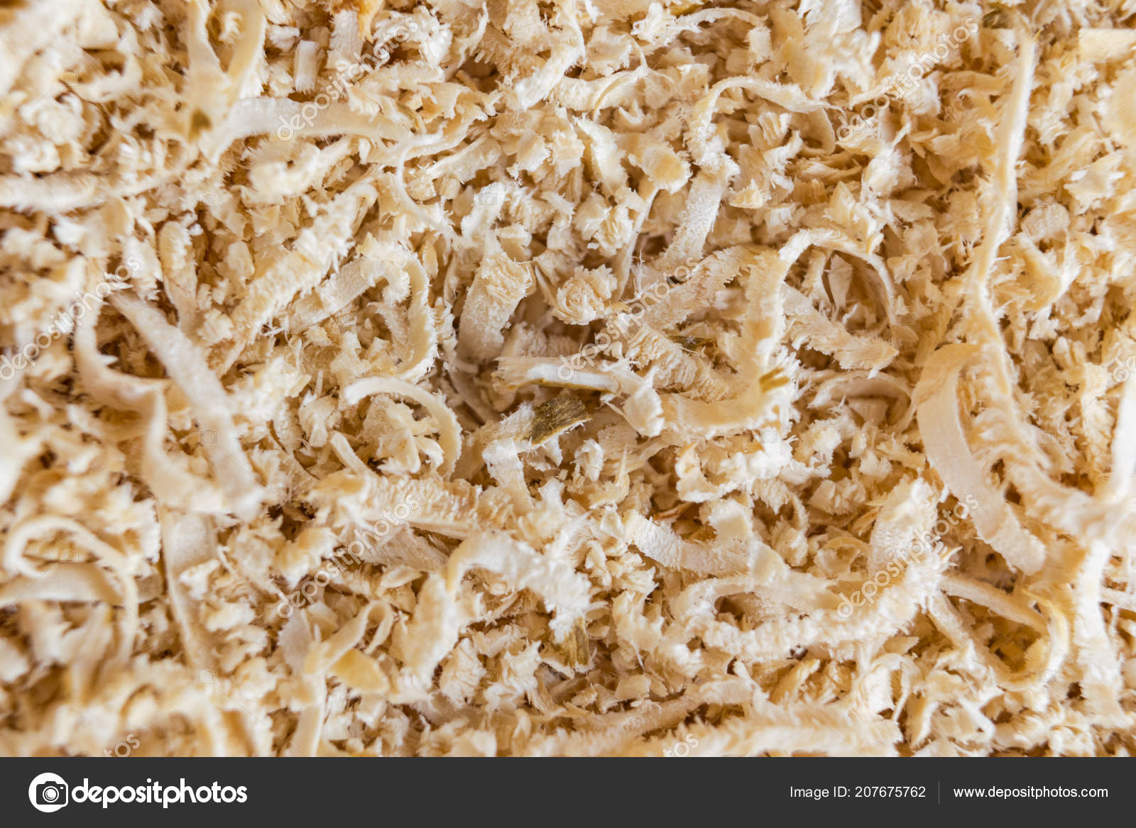 Wood Sawdust Background Closeup Sawdust Floor Texture Top View