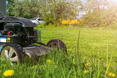 Çim biçme. Yeşil çimenlerin üzerinde çim biçme makinesi. Biçme makinesi Çim ekipman. Bahçıvan bakım iş takım biçme. Görünümü kapatın. Güneşli bir gün. Yumuşak yıldırım