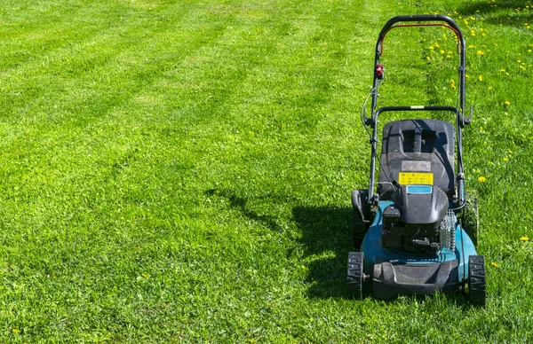 Klippa Gräsmattor Gräsklippare Grönt Gräs Gräsklipparen Gräs Utrustning Slåtter Trädgårdsmästare — Stockfoto