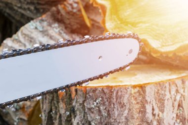 Elektrikli testere. Testere ahşap kesme taşı. Adam kesme ahşap ile gördüm. Toz ve hareketleri. Elektrikli testere testere oduncu Close-up. Bir testere bıçağı. Profesyonel testere bıçak kesim günlük ahşap.