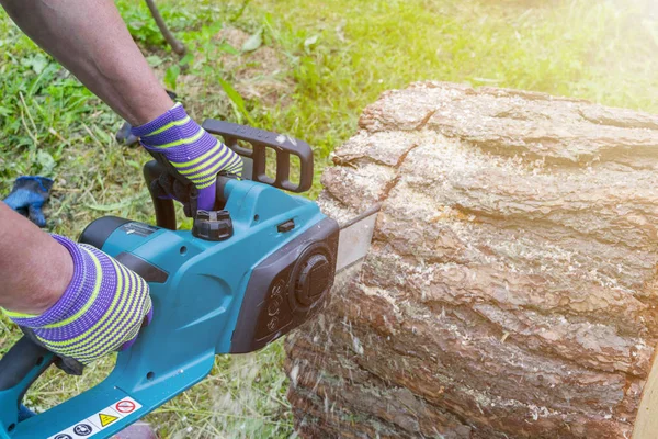 Chainsaw. Chainsaw in move cutting wood. Man cutting wood with saw. Dust and movements. Close-up of woodcutter sawing chain saw. Blade of a chainsaw. Professional chainsaw blade cutting log of wood.