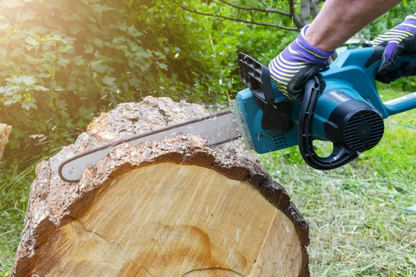 Chainsaw. Chainsaw in move cutting wood. Man cutting wood with saw. Dust and movements. Close-up of woodcutter sawing chain saw. Blade of a chainsaw. Professional chainsaw blade cutting log of wood.