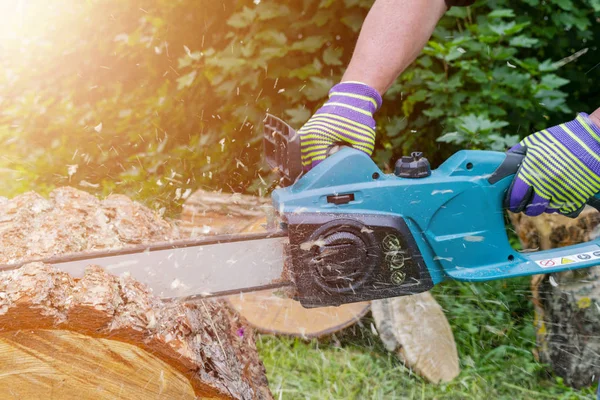 Chainsaw. Chainsaw in move cutting wood. Man cutting wood with saw. Dust and movements. Close-up of woodcutter sawing chain saw. Blade of a chainsaw. Professional chainsaw blade cutting log of wood.