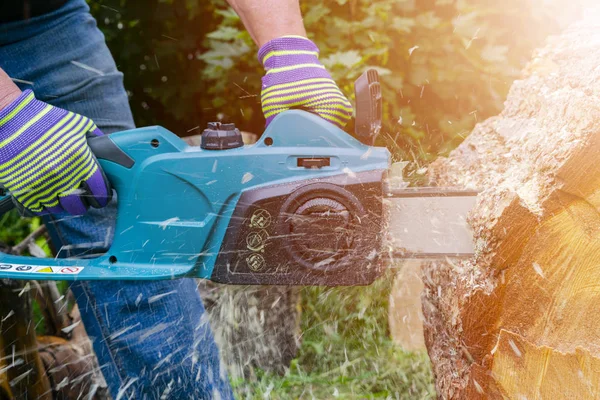 Chainsaw. Chainsaw in move cutting wood. Man cutting wood with saw. Dust and movements. Close-up of woodcutter sawing chain saw. Blade of a chainsaw. Professional chainsaw blade cutting log of wood.