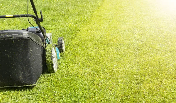 Klippa Gräsmattor Gräsklippare Grönt Gräs Gräsklipparen Gräs Utrustning Slåtter Trädgårdsmästare — Stockfoto