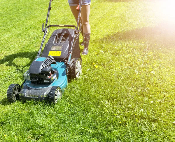 Vacker Flicka Skär Med Gräsmatta Klippning Gräsmattor Gräsklippare Grönt Gräs — Stockfoto