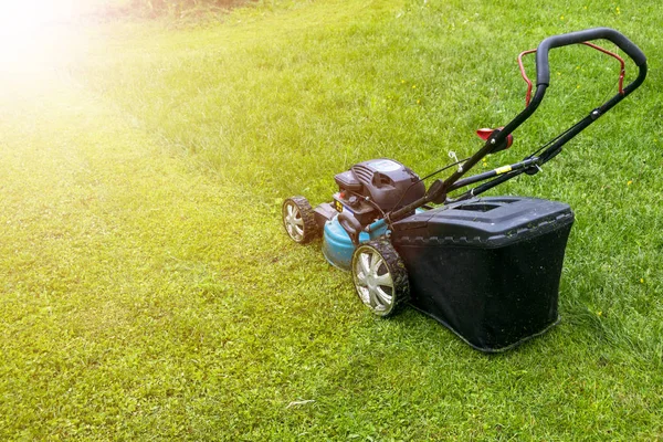 Beautiful girl cuts the lawn, Mowing lawns, Lawn mower on green grass, mower grass equipment, mowing gardener care work tool, close up view, sunny day. Soft lighting