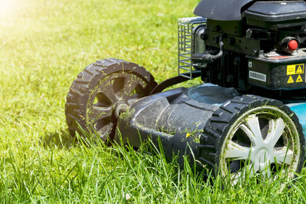 Красивая девушка стрижет газон, стрижет газоны, косит газоны на зеленой траве, косит травяное оборудование, косит садовника рабочий инструмент, закрывает обзор, солнечный день. Мягкое освещение
