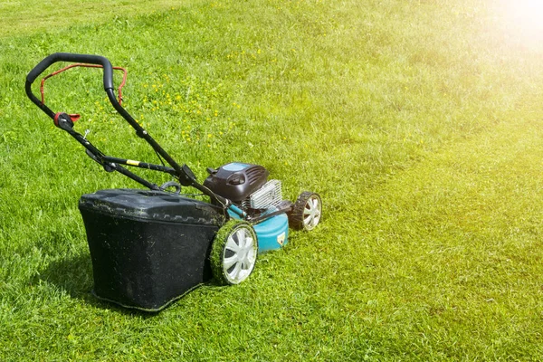 Vacker Flicka Skär Med Gräsmatta Klippning Gräsmattor Gräsklippare Grönt Gräs — Stockfoto